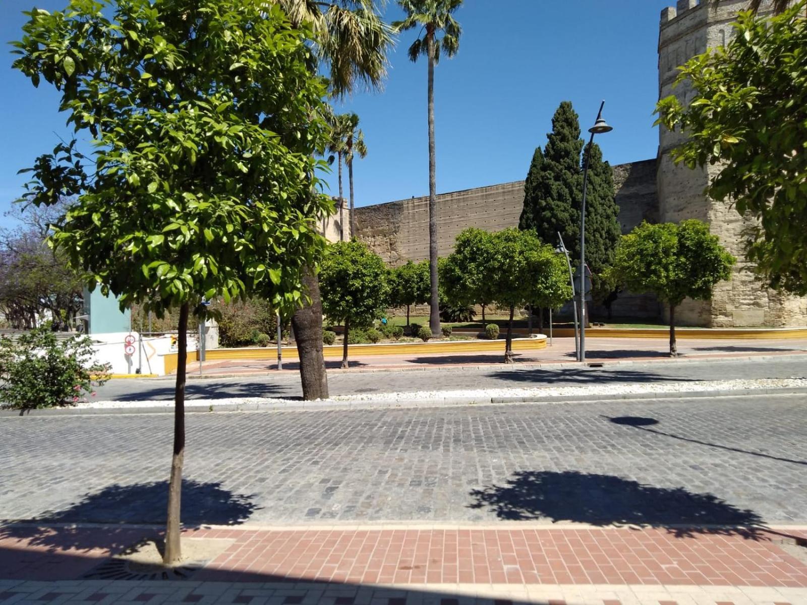 Apartamento Karisma Alcazar Jerez de la Frontera Exterior foto